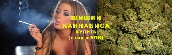 ECSTASY Вязьма