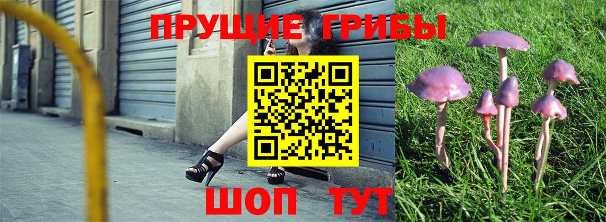 Галлюциногенные грибы MAGIC MUSHROOMS  Дятьково 