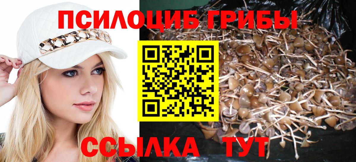 сколько стоит  Псилоцибиновые грибы MAGIC MUSHROOMS  Галлюциногенные грибы Psilocybe  Вход с VPN  Дятьково 